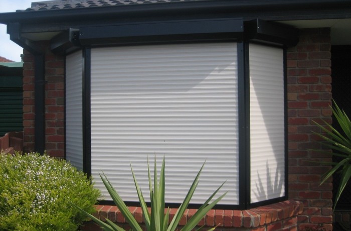 Window Shutters